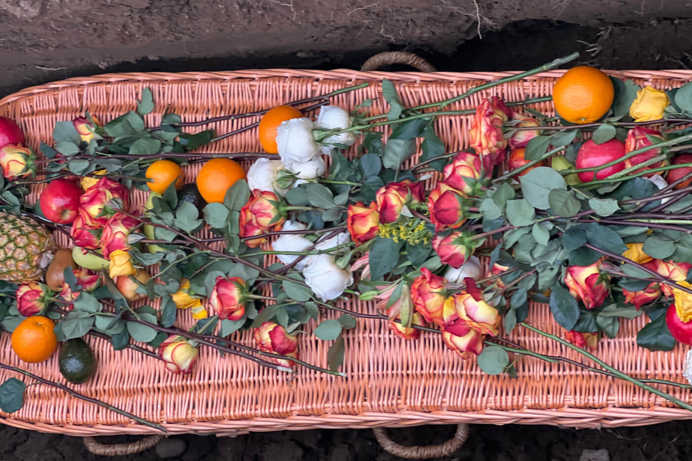 Flowers and Fruits